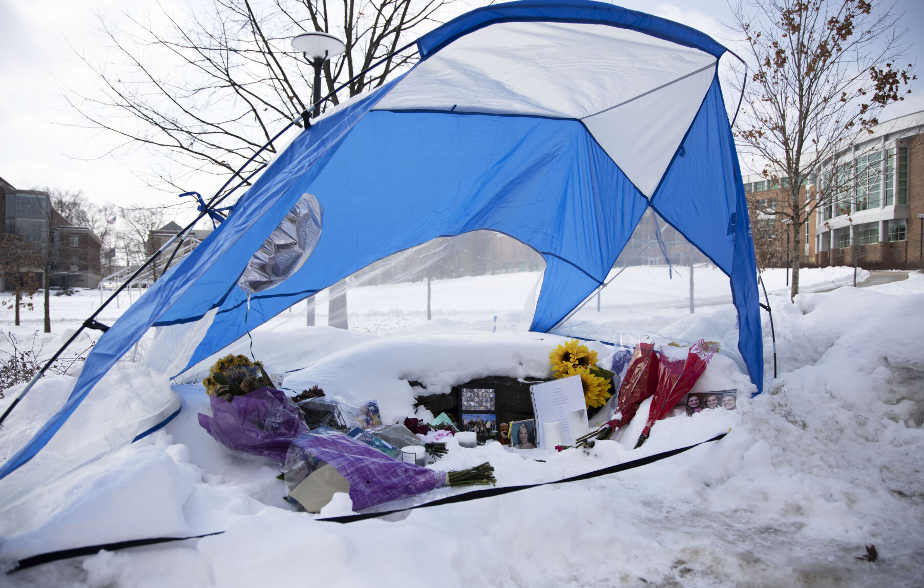 Ashley Pauls Memorial